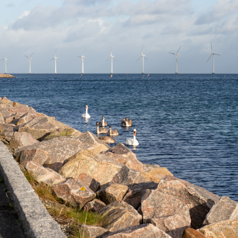 miljø og natur