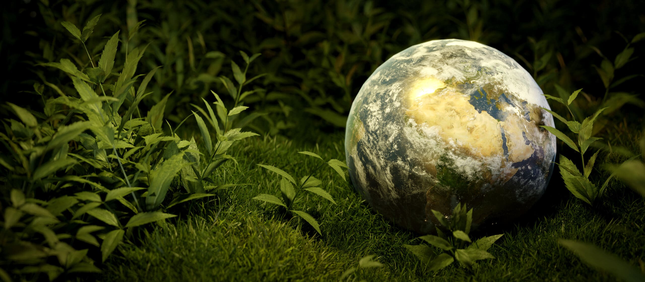 Environmental Ecology Sustainability and Earth Day Concept. Planet Earth on green grass cinematic scene banner background. 3D render