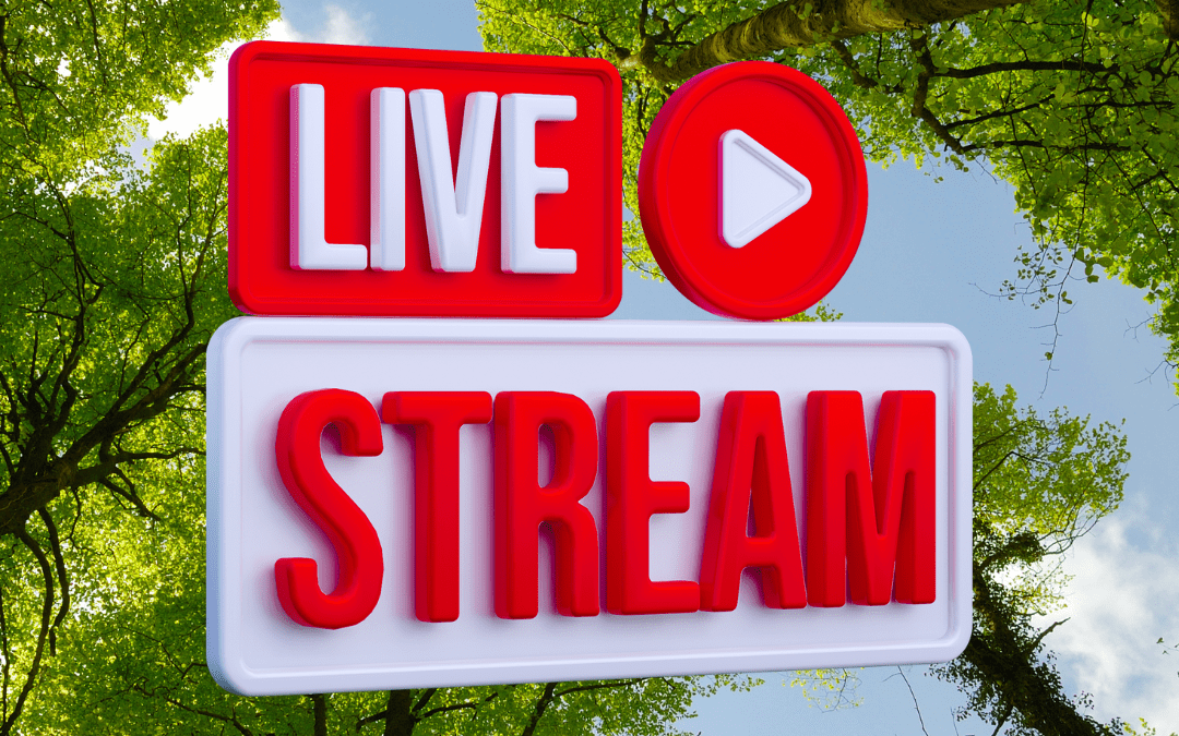 Livestream fra pressemøde
