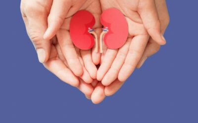 Respekt for selvbestemmelse: Nej til automatisk organdonorregistrering