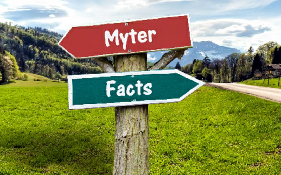 Der er intet som fakta, der kan ødelægge en god historie